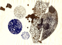 http://www.ottoheigold.ch/files/gimgs/th-4_14_mutation7n_v2.jpg
