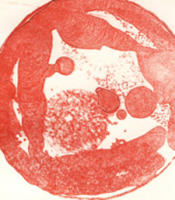 http://www.ottoheigold.ch/files/gimgs/th-7_14_scan10339-s-300_v2.jpg
